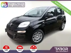 Fiat Panda ICON 5PL PDC 52-DAB DigC LaneA Reg