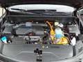 Kia Sorento Platinum 4WD Plug-In Hybrid 1.6 T-GDI Leder Schieb Чорний - thumbnail 14