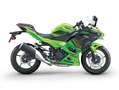 Kawasaki zelena - thumbnail 2