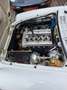 Alfa Romeo Spider 1750 Duetto - Technik neu- H-Kz. Blanc - thumbnail 18