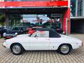 Alfa Romeo Spider 1750 Duetto - Technik neu- H-Kz. Blanc - thumbnail 1