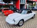 Alfa Romeo Spider 1750 Duetto - Technik neu- H-Kz. Blanc - thumbnail 2