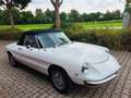 Alfa Romeo Spider 1750 Duetto - Technik neu- H-Kz. Blanc - thumbnail 4