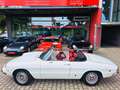 Alfa Romeo Spider 1750 Duetto - Technik neu- H-Kz. Blanc - thumbnail 8