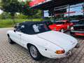 Alfa Romeo Spider 1750 Duetto - Technik neu- H-Kz. Blanc - thumbnail 9