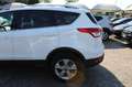 Ford Kuga 2.0 TDCI 120CV Titanium EURO 6 Weiß - thumbnail 24