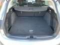 Ford Focus Active SW 1.5 ecoblue Style 120cv Automatica Gris - thumbnail 28