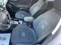 Ford Focus Active SW 1.5 ecoblue Style 120cv Automatica Gris - thumbnail 24
