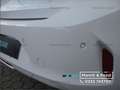 Opel Corsa-e 5 porte Blitz Edition Blanco - thumbnail 24