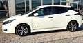 Nissan Leaf Acenta 40kWh 150cv Bianco - thumbnail 2