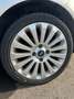 Ford Fiesta Fiesta 5p 1.4 tdci + Grau - thumbnail 14