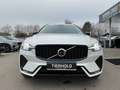 Volvo XC60 B4 Plus Dark 2WD ACC Pano 360° Google HK Weiß - thumbnail 10