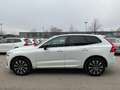 Volvo XC60 B4 Plus Dark 2WD ACC Pano 360° Google HK Weiß - thumbnail 4