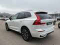 Volvo XC60 B4 Plus Dark 2WD ACC Pano 360° Google HK Weiß - thumbnail 5
