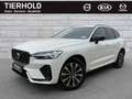 Volvo XC60 B4 Plus Dark 2WD ACC Pano 360° Google HK Weiß - thumbnail 2