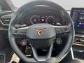 CUPRA Formentor VZ 2.0 TSI BREMBO PANO AHK BEATS 360° Grau - thumbnail 9