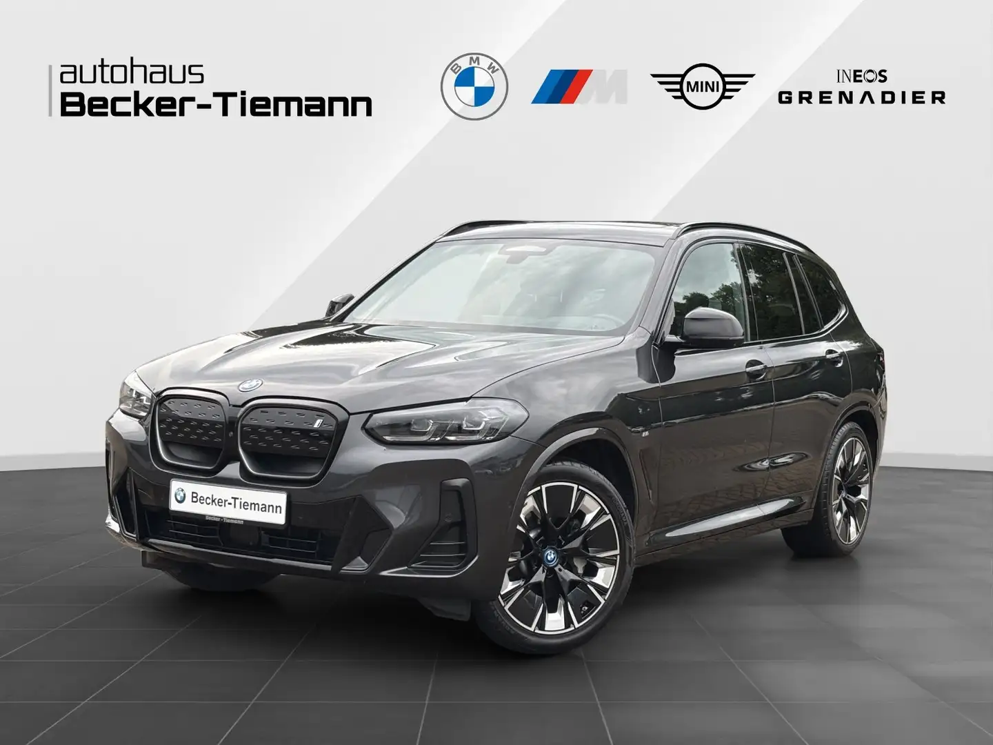BMW iX3 M Sport | AHK | HiFi HK | Park. Assist + | Driving Grau - 1