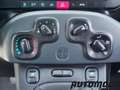 Fiat Panda VAN 1.2 69CV  2Posti Bianco - thumbnail 15