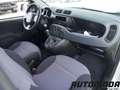 Fiat Panda VAN 1.2 69CV  2Posti Bianco - thumbnail 11
