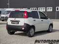 Fiat Panda VAN 1.2 69CV  2Posti Bianco - thumbnail 4