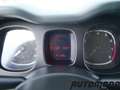 Fiat Panda VAN 1.2 69CV  2Posti Bianco - thumbnail 14