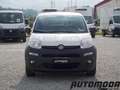 Fiat Panda VAN 1.2 69CV  2Posti Bianco - thumbnail 2