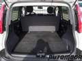 Fiat Panda VAN 1.2 69CV  2Posti Bianco - thumbnail 7