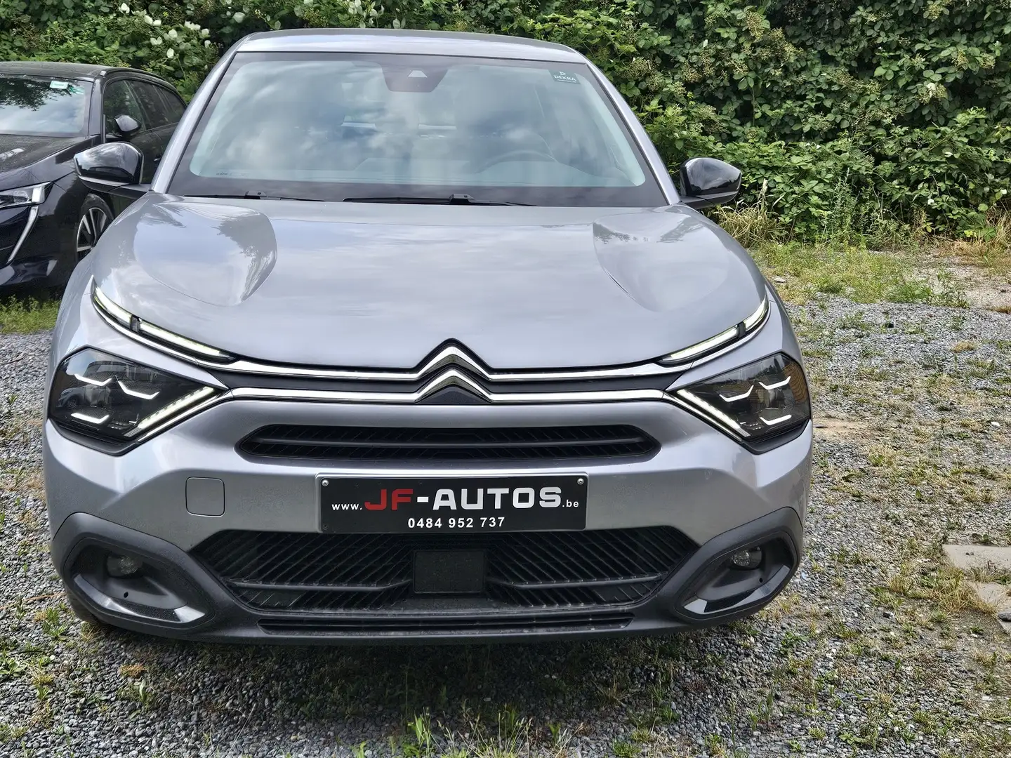 Citroen C4 1.2 PureTech Max S&S (EU6.4) Gris - 1