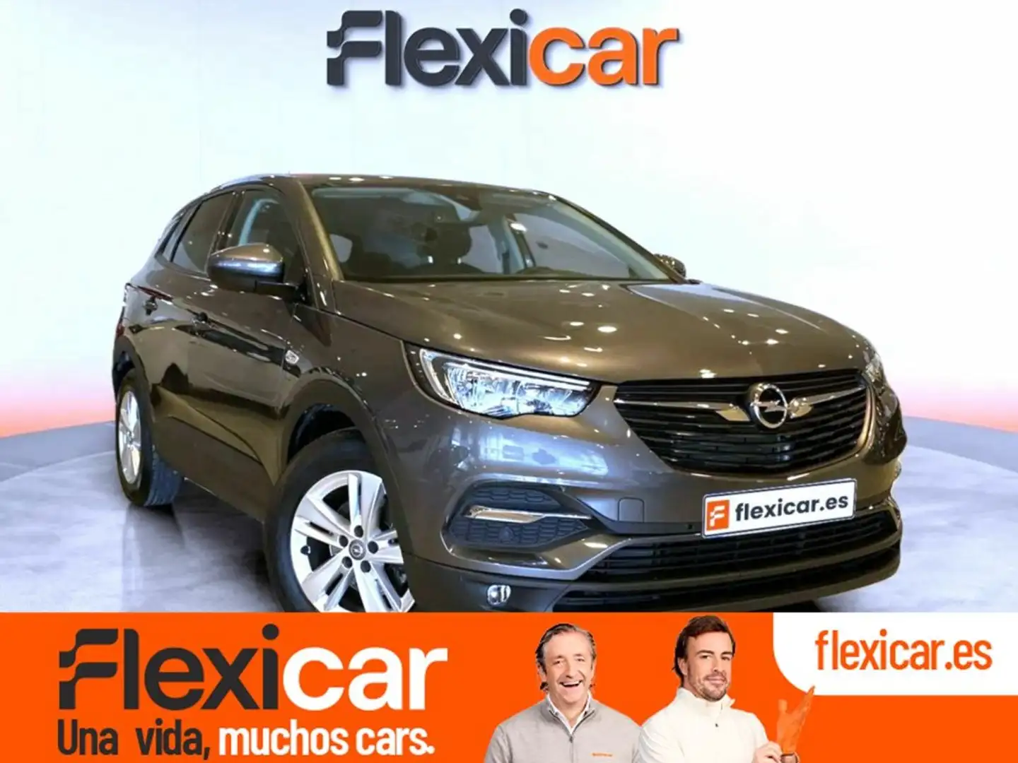 Opel Grandland X 1.2T S&S 120 Aniversario 130 Gris - 1