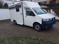 Volkswagen T5 Transporter Wohnmobilumbau - thumbnail 3