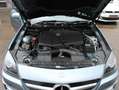 Mercedes-Benz SLK 250 SLK 250 CDI AMG Sport BlueEfficiency (172.403) Argintiu - thumbnail 12