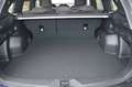 Subaru Forester 2.0ie Exclusive ***neues Modell 2025*** Grau - thumbnail 9