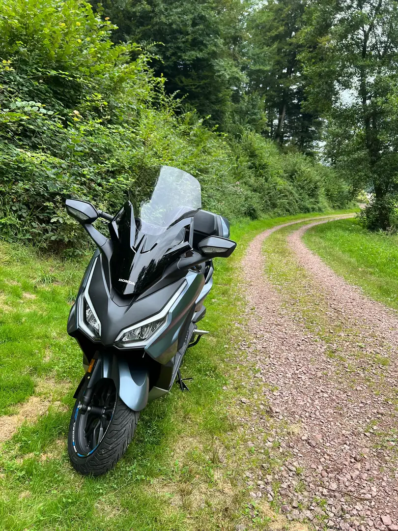 Honda Forza 350 - 1