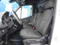Mercedes-Benz Sprinter 317 CDI RWD 9G-Tronic L2H2 / AHK 3500 KG Weiß - thumbnail 8