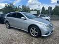 Mercedes-Benz R 320 CDI 4MATIC / AMG-Optic-/Styling-Paket 1 Zilver - thumbnail 1