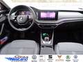 Skoda Octavia Combi Selection 2.0l TDI 110kW DSG LED Klima Rot - thumbnail 4