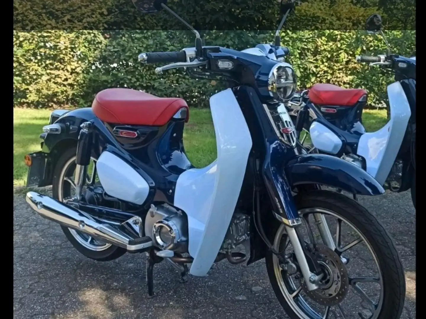 Honda Super Cub c125 Kék - 1