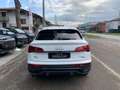 Audi Q5 Q5 SPB 2.0 TDI Mild Hybrid quattro S line KM0 Bianco - thumbnail 7