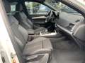 Audi Q5 Q5 SPB 2.0 TDI Mild Hybrid quattro S line KM0 Bianco - thumbnail 13