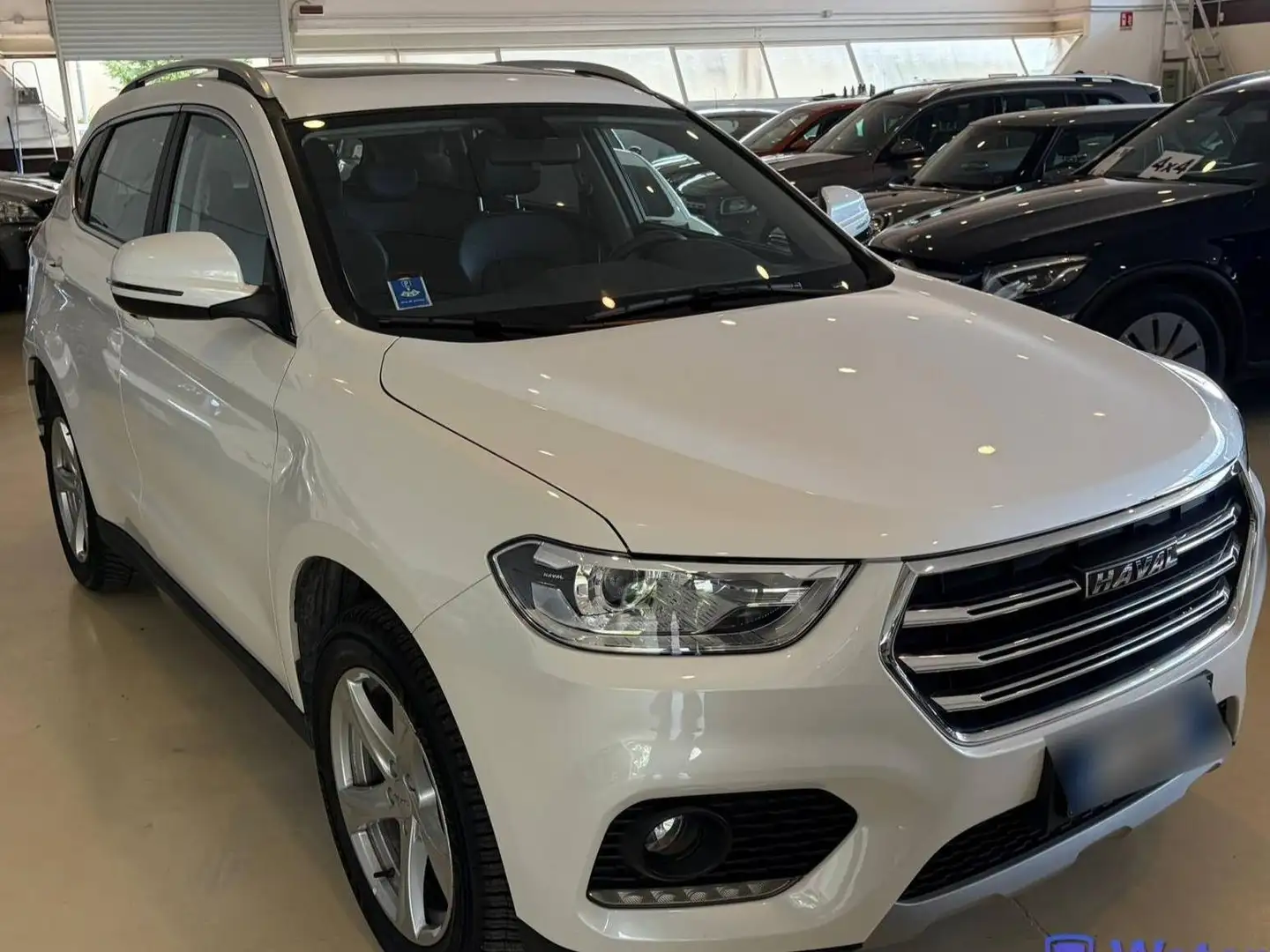 Haval H2 1.5t Premium Gpl Weiß - 2