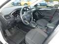 Ford Focus Turnier 1.5 Active KLIMA AHK NAVI KAM SHZ Klima Weiß - thumbnail 5