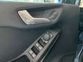 Ford Fiesta Fiesta 1.0 TITANIUM*0,99%**Winter**SichtPaket* Blau - thumbnail 7