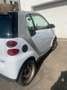 smart forTwo smart Weiß - thumbnail 3