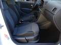 Volkswagen Polo 1.6 TDI 90CV DPF 5 porte Comfortline Bianco - thumbnail 11