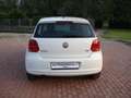 Volkswagen Polo 1.6 TDI 90CV DPF 5 porte Comfortline Bianco - thumbnail 7