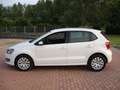 Volkswagen Polo 1.6 TDI 90CV DPF 5 porte Comfortline Bianco - thumbnail 4