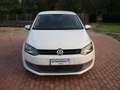 Volkswagen Polo 1.6 TDI 90CV DPF 5 porte Comfortline Bianco - thumbnail 6