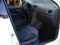 Volkswagen Polo 1.6 TDI 90CV DPF 5 porte Comfortline Bianco - thumbnail 13