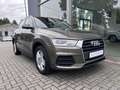 Audi Q3 basis quattro AUTOM. LED AHK SZHZG NAVI TEMP. Braun - thumbnail 3