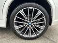 BMW X1 xDrive23d M Sportpaket Head-Up Kamera AHK Weiß - thumbnail 40